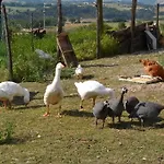 Antico Muro *